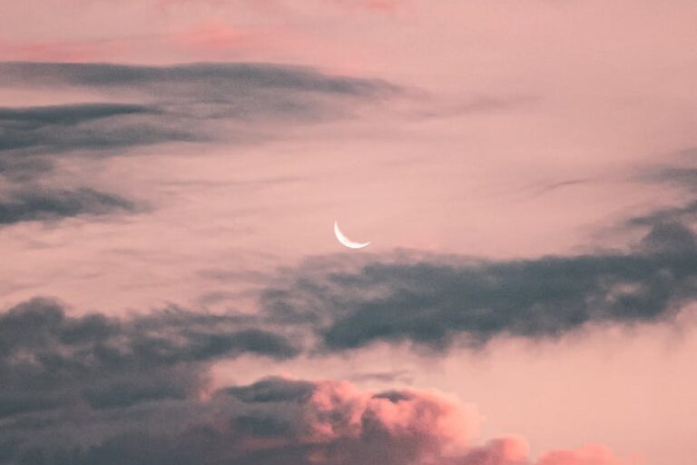 crescent moon on a pink sky