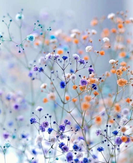 WhatsApp Image 2023-03-23 at 16.07.19 (2)