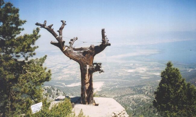 WhatsApp Image 2023-03-23 at 16.18.56