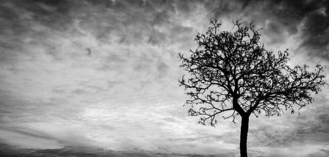 olum-ile-ilgili-hadisler-176368