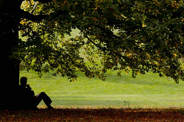A man sitting under a tree deep in thought.